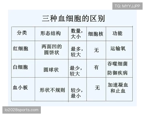 争议球处理的具体规则流程如何判定？